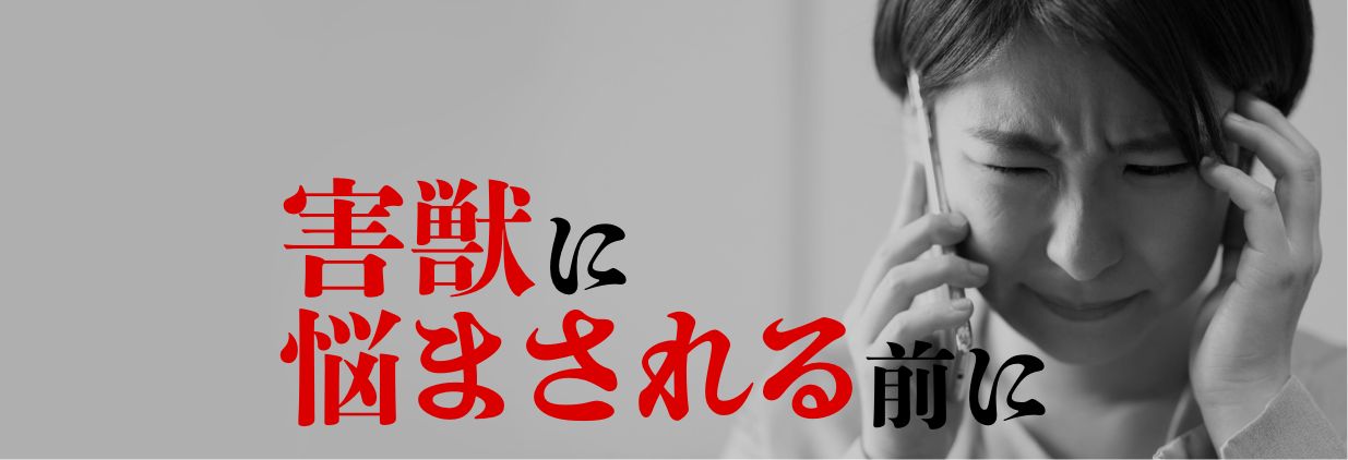 電気柵設置の画像