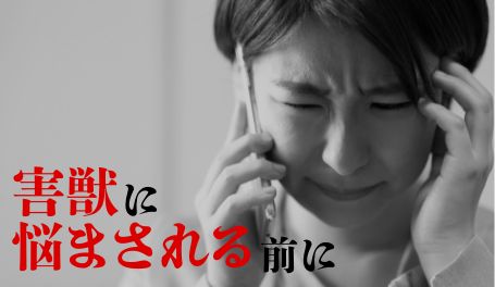 電気柵設置の画像